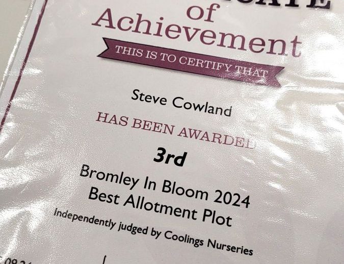 Bromley in Bloom