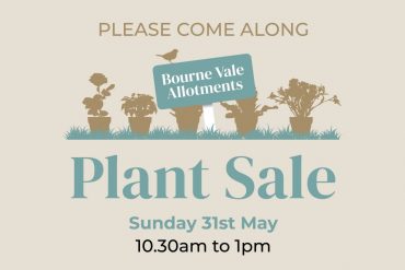 Things to sow in February